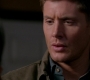 SPN_0282.jpg