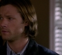 SPN_0424.jpg