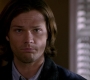 SPN_0427.jpg