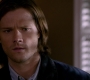 SPN_0444.jpg
