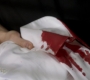 SPN_0445.jpg