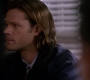 SPN_0462.jpg