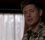 SPN_0515.jpg