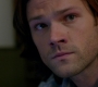SPN_0546.jpg