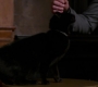 SPN_0731.jpg