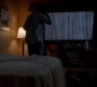 SPN_0743.jpg