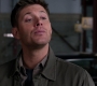 SPN_0953.jpg