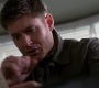SPN_1021.jpg