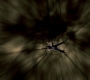 SPN_1318.jpg