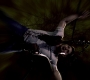SPN_1322.jpg