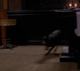 SPN_1336.jpg