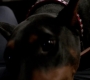 SPN_1341.jpg