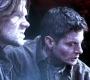 SPN_1342.jpg