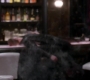 SPN_1363.jpg