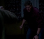 SPN_0453.jpg