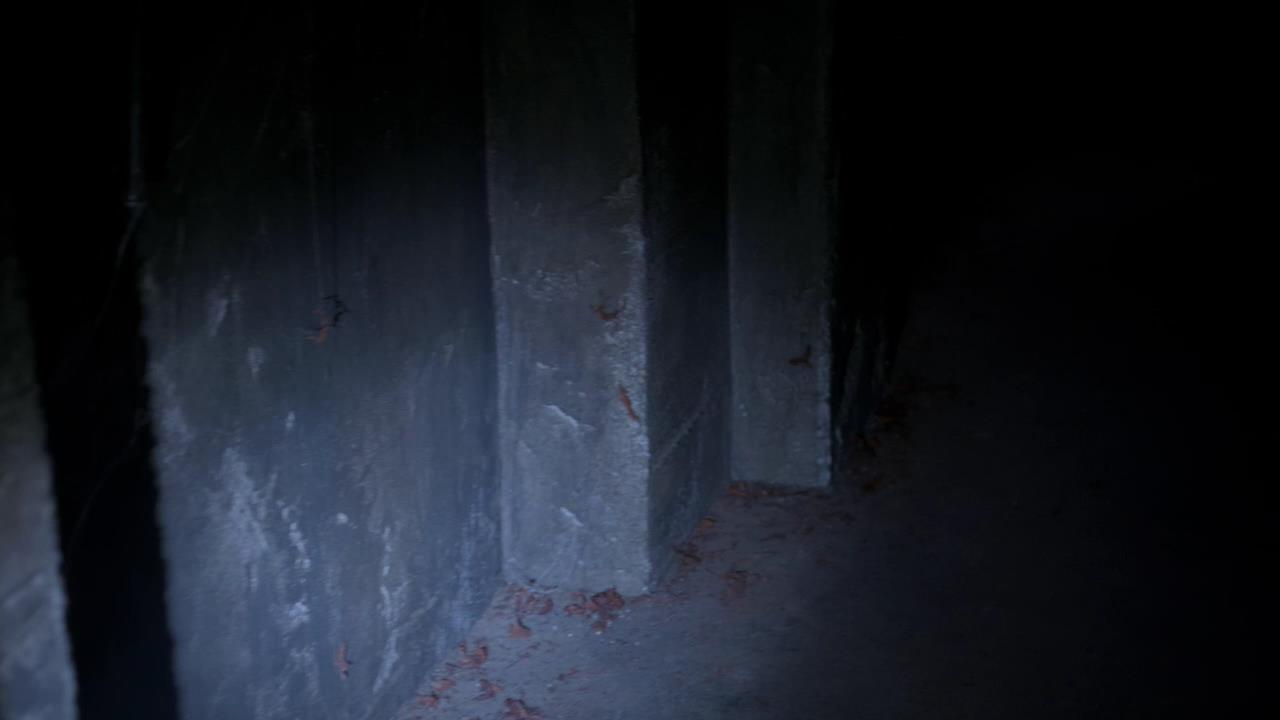 SPN_0941.jpg