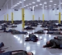 SPN_0059.jpg