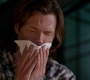 SPN_0102.jpg