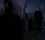 SPN_1350.jpg