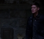 SPN_1426.jpg
