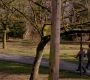 SPN_0942.jpg