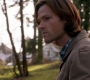 SPN_1028.jpg