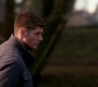 SPN_1466.jpg