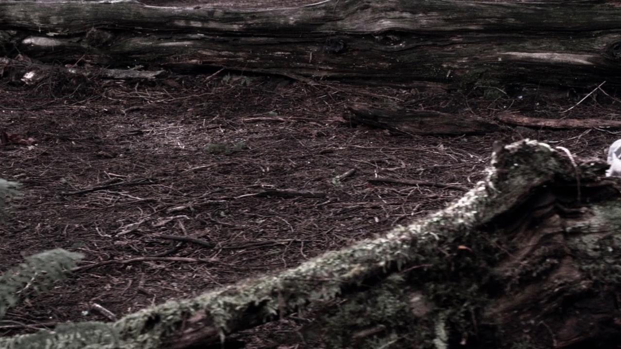 SPN_0333.jpg