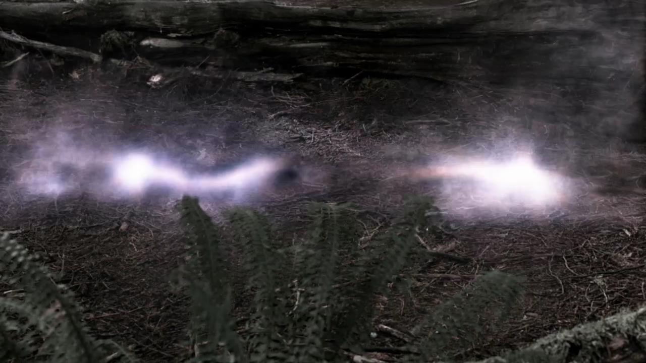 SPN_0334.jpg