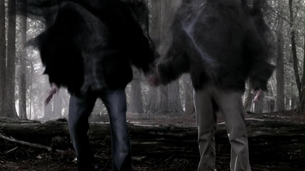 SPN_0336.jpg