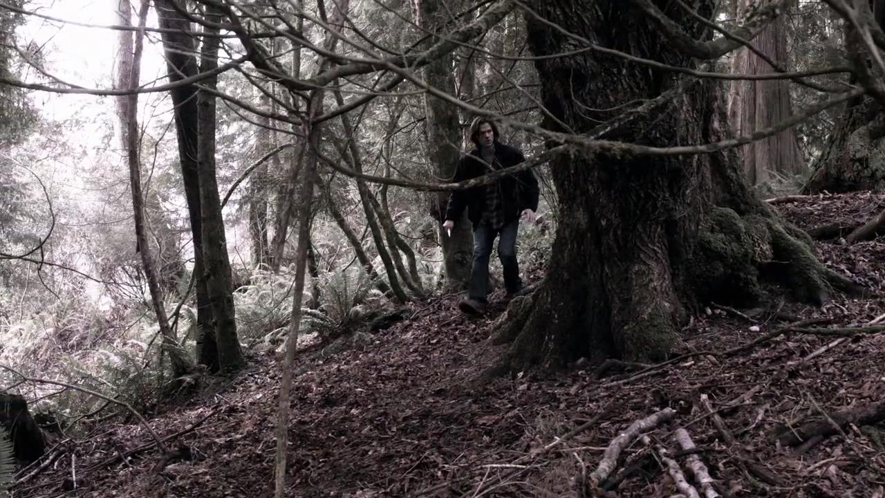 SPN_0550.jpg