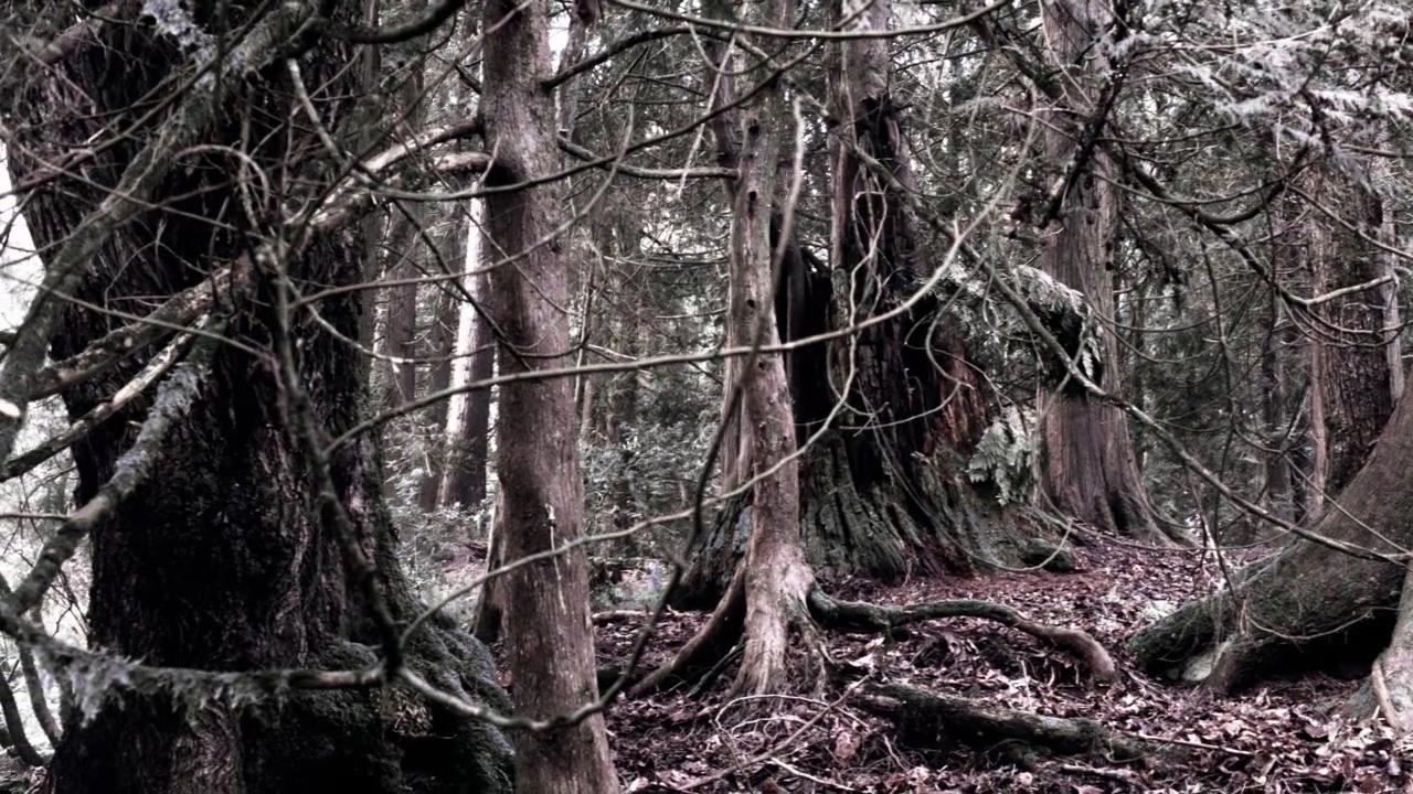 SPN_0564.jpg