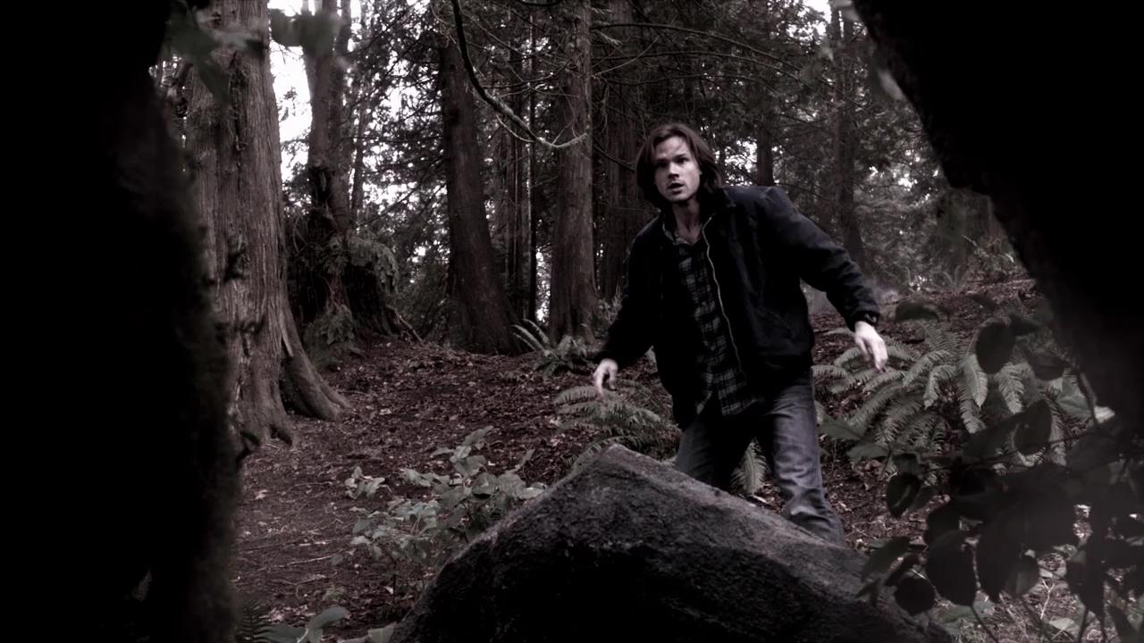 SPN_0619.jpg
