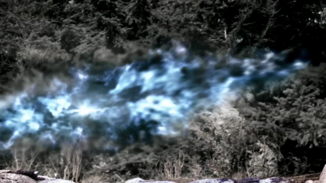SPN_1349.jpg