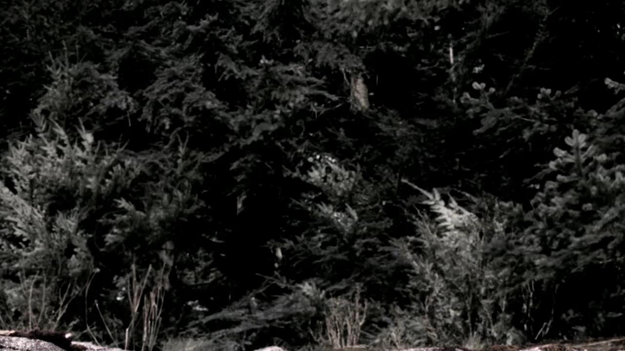 SPN_1350.jpg