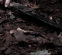 SPN_0625.jpg