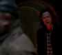 SPN_0896.jpg