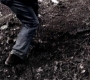 SPN_1331.jpg