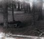 SPN_1344.jpg