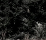 SPN_1350.jpg