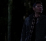SPN_1356.jpg
