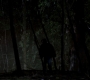 SPN_1361.jpg