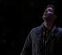 SPN_1440.jpg