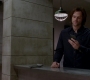 SPN_0454.jpg