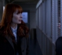 SPN_0776.jpg