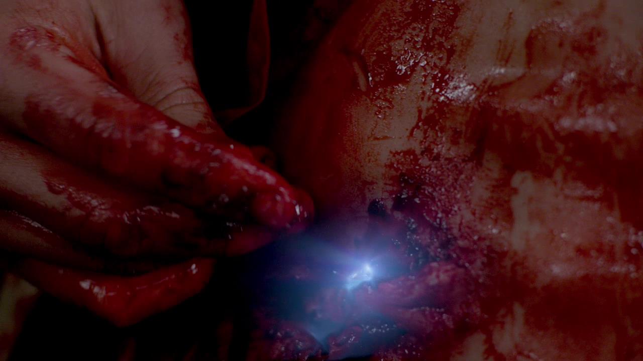 SPN_1100.jpg