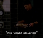 SPN_0167.jpg