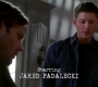 SPN_0173.jpg