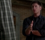 SPN_0435.jpg
