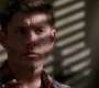 SPN_0788.jpg